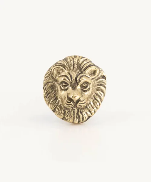 Cosi Store • Bouton de Tiroir Lovesome Lion Doing Goods (Doing Goods)