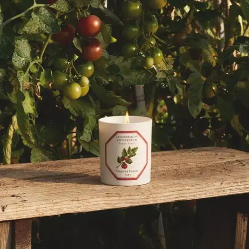 Cosi Store • Bougie Tomate Carrière Frères (Carrière Frères)