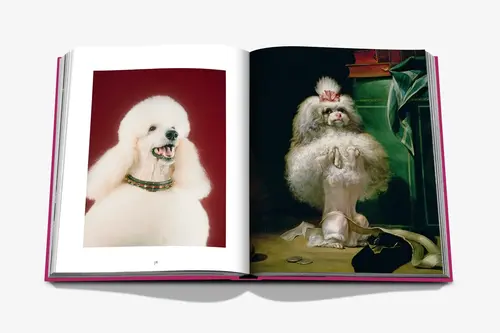 Cosi Store • Livre Chic Dogs Assouline (Assouline)