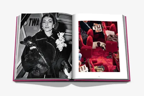 Cosi Store • Livre Chic Dogs Assouline (Assouline)