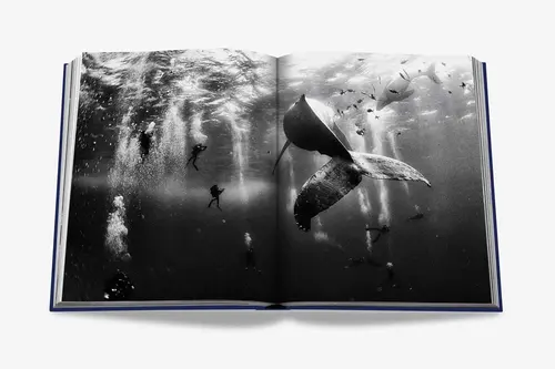 Cosi Store • Ocean Wanderlust (Assouline)