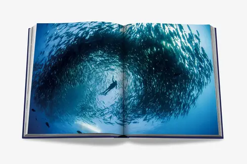 Cosi Store • Ocean Wanderlust (Assouline)