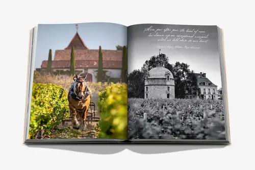 Cosi Store • Wine & Travel France (Assouline)